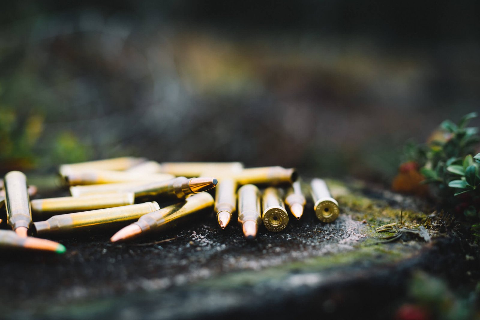 Lapua yüksek hassasiyetli tüfek mühimmatları, doğal arazi üzerinde sergilenmiş kartuş detayı